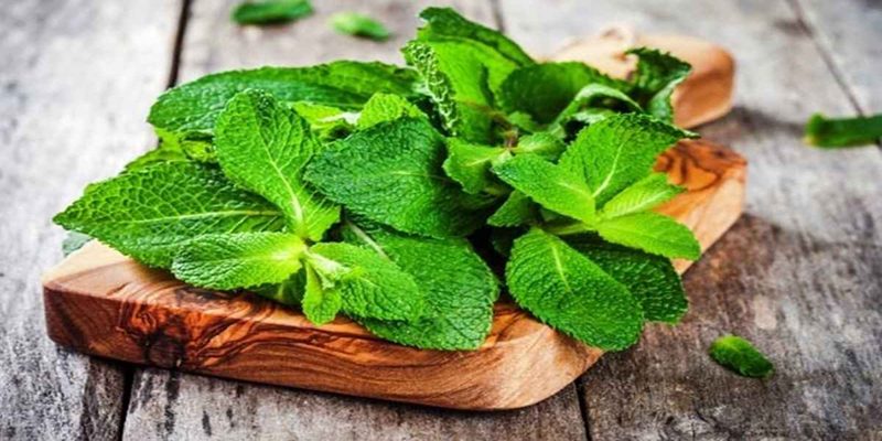 1 52 - 5 خاصیت شگفت‌انگیز و معجزه‌آسای عرق نعناع