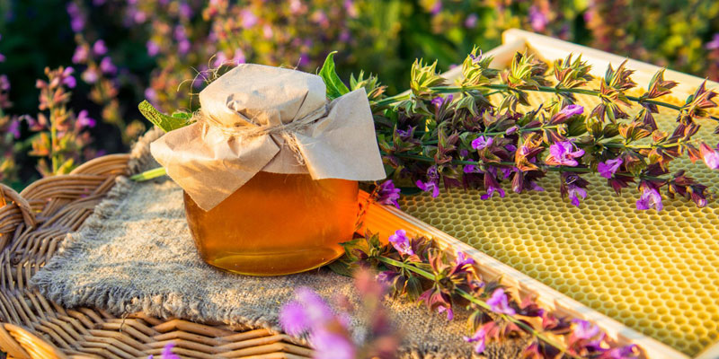 Sage honey - بهترین عسل چه عسلی است؟ معرفی بهترین انواع عسل و رنگ آن‌ها