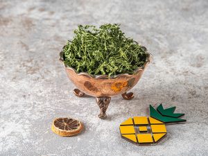 گشنیز خشک ارگانیک