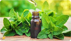 khavasaraghnanamedeh b 300x175 - خواص عرق نعنا برای معده